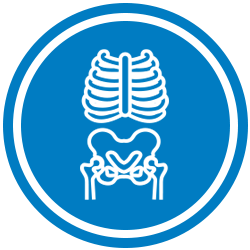 X-Ray.png X-Ray.png